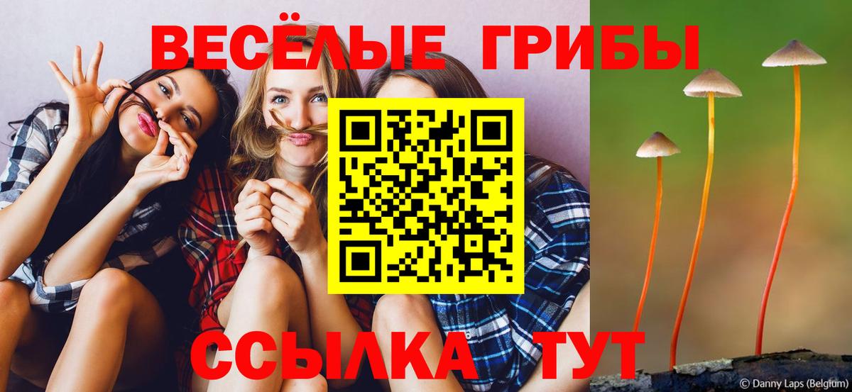 Горячий Ключ  цена наркотик  Вход с VPN  Псилоцибиновые грибы MAGIC MUSHROOMS  Галлюциногенные грибы ЛСД 