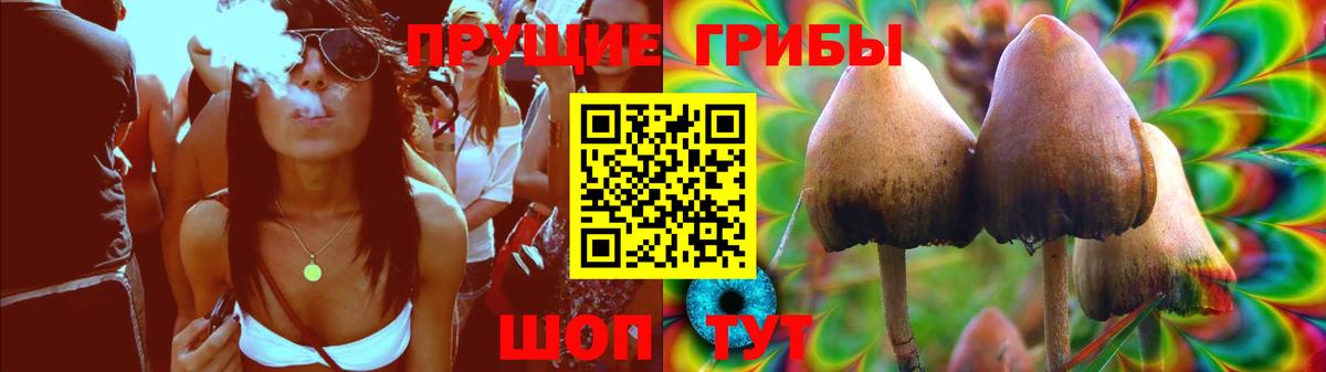 Галлюциногенные грибы GOLDEN TEACHER Горячий Ключ